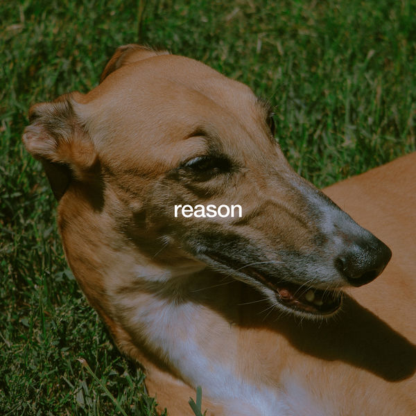 Jordana|Reason