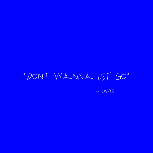 Owls|Don't Wanna Let Go