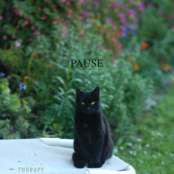 therapy|Pause