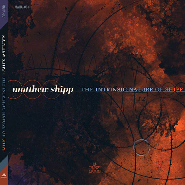 Matthew Shipp|The Intrinsic Nature Of Shipp