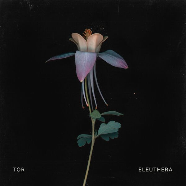 Tor|Eleuthera