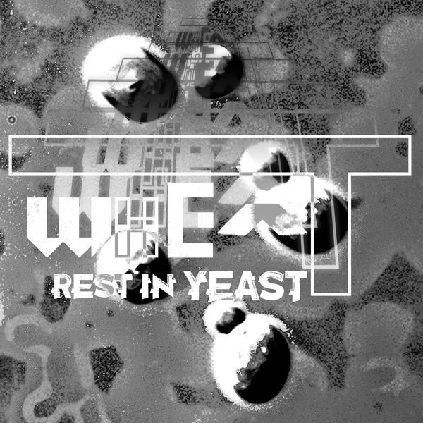 Wheat|Rest In Yeast