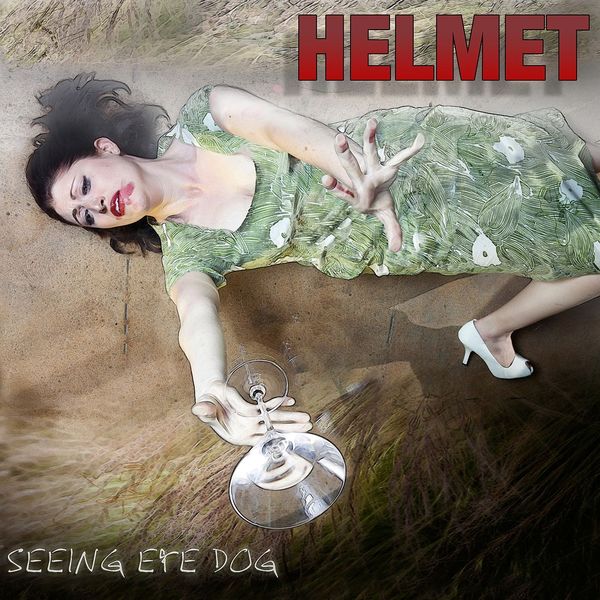 Helmet|Seeing Eye Dog