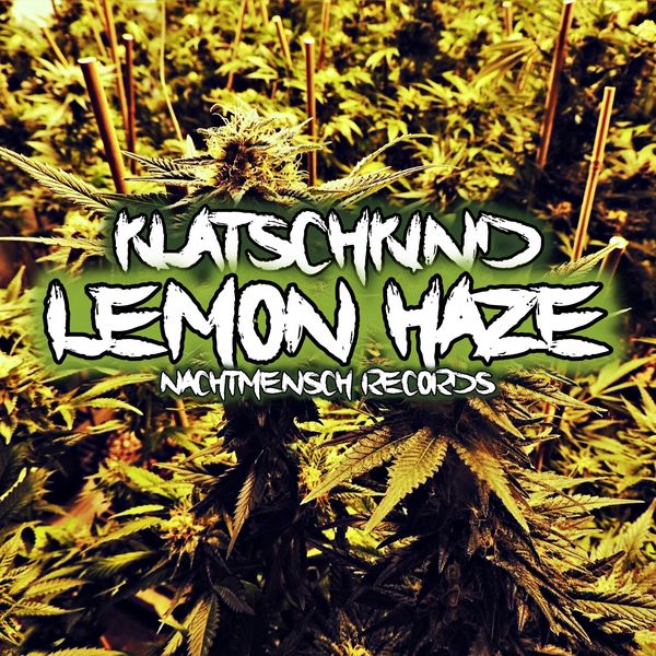 Klatschkind|Lemon Haze