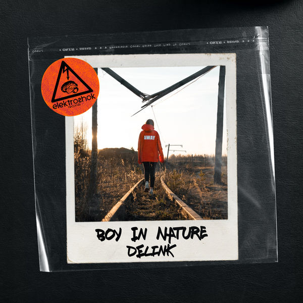 Boy In Nature|Delink (Original Mix)