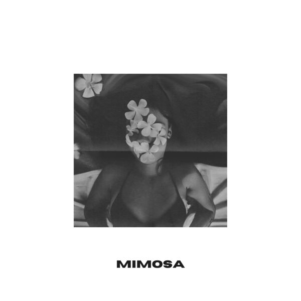 Kenny|Mimosa