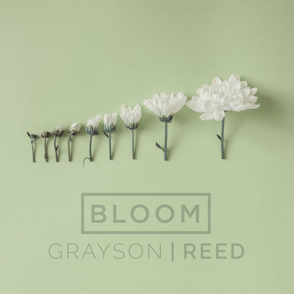 Grayson|Reed|Bloom  (Radio Version)