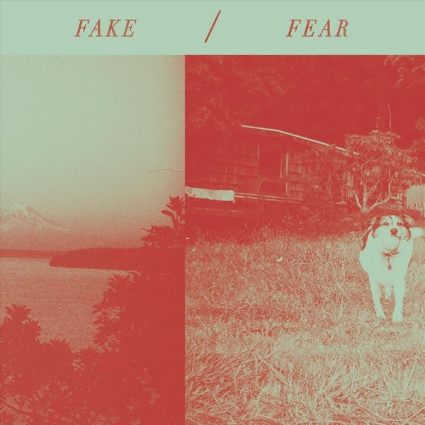 Chastity Belt|Fake / Fear