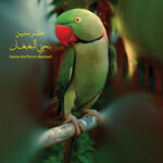 Maurice Louca Benhayyi Al-Baghbaghan (Salute the Parrot) Remixed