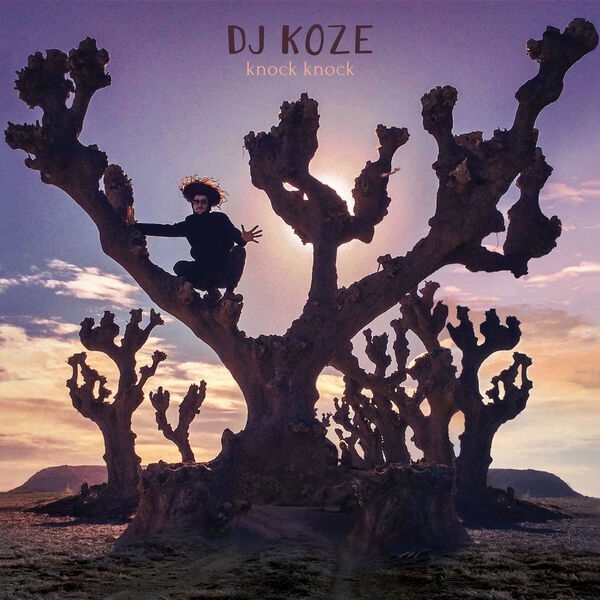 DJ Koze|Knock Knock