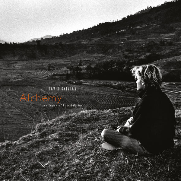 David Sylvian|Alchemy: An Index Of Possibilities (Remastered 2003)