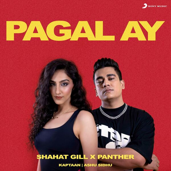 Shahat Gill|Pagal Ay