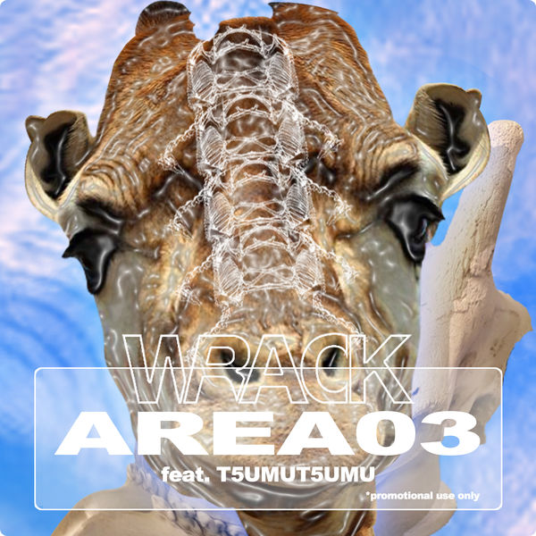 Wrack|Area03