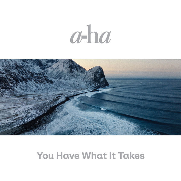 A-Ha|You Have What It Takes