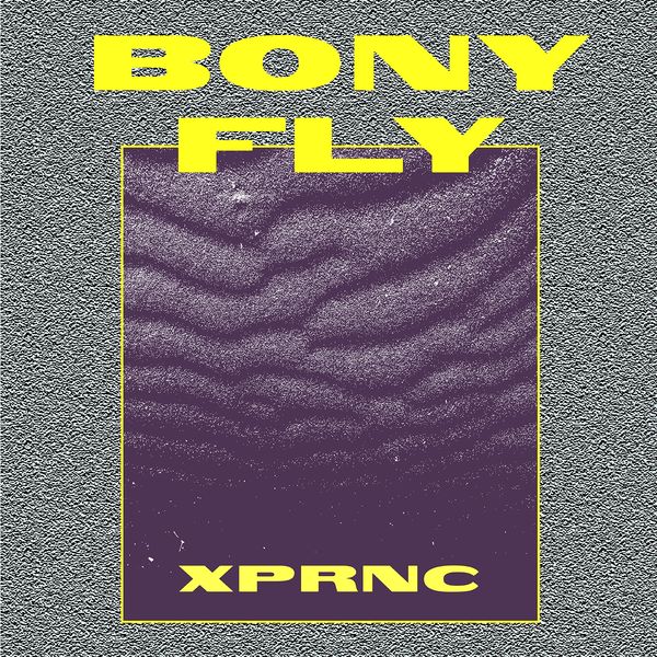 Bony Fly|XPRNC