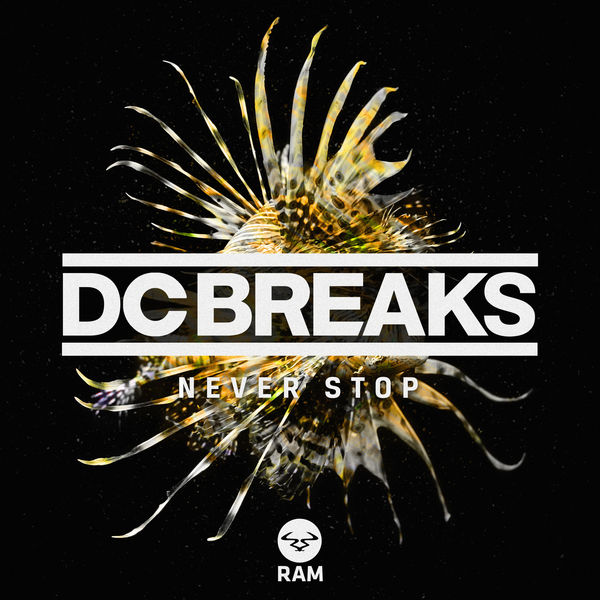 DC Breaks|Never Stop