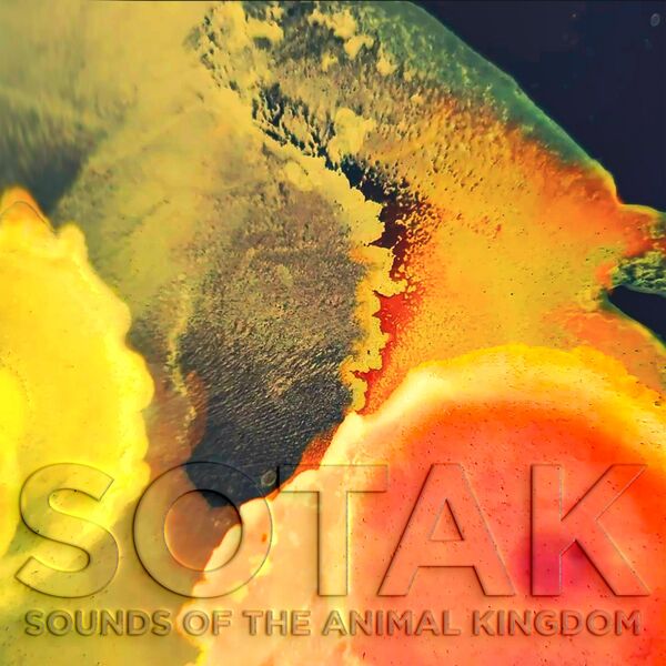 SOTAK (CH)|Auk (Hatari Remix)