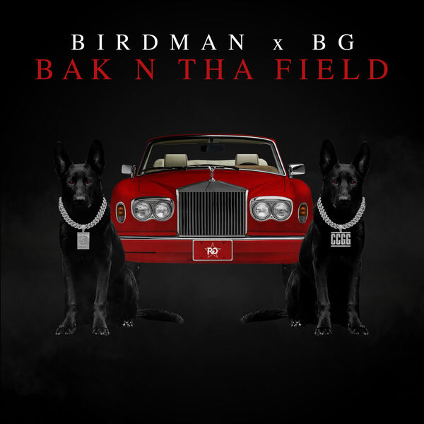 Birdman|BAK N THA FIELD