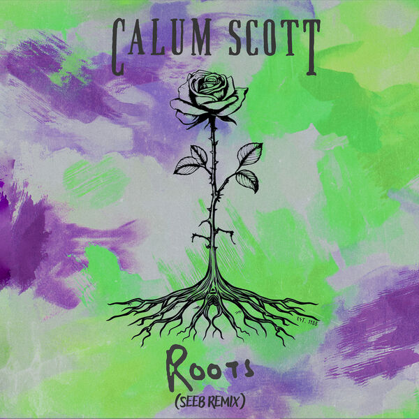 Calum Scott|Roots (Seeb Remix)