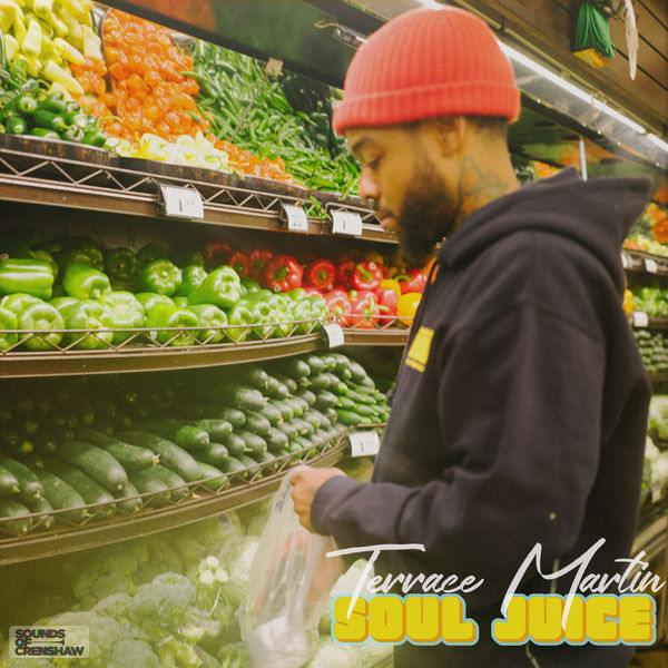 Terrace Martin|Soul Juice