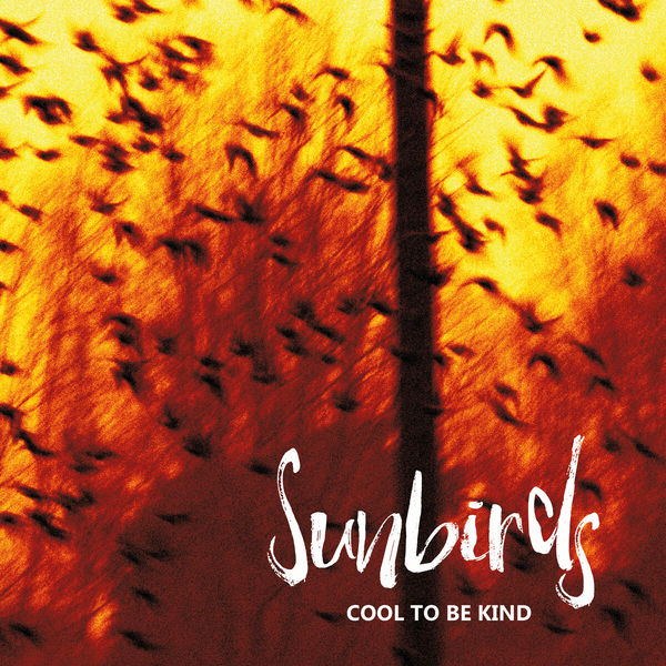 Sunbirds|Cool to Be Kind