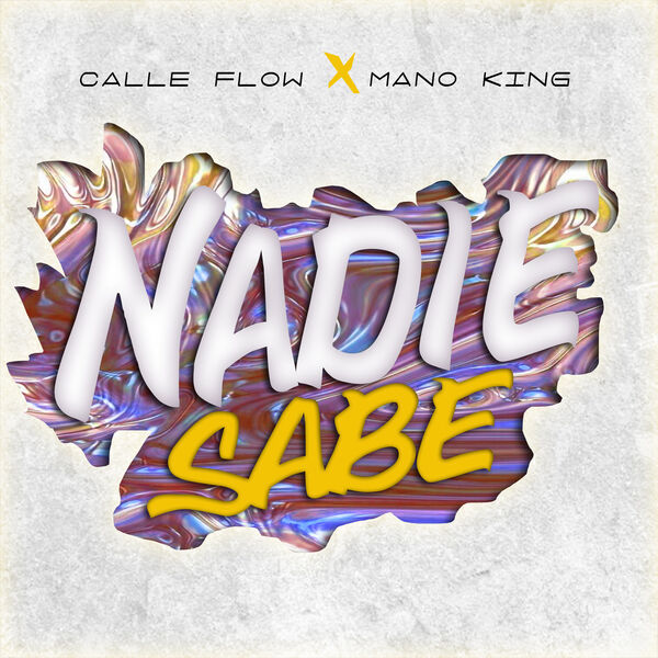 Flow Calle|Nadie Sabe