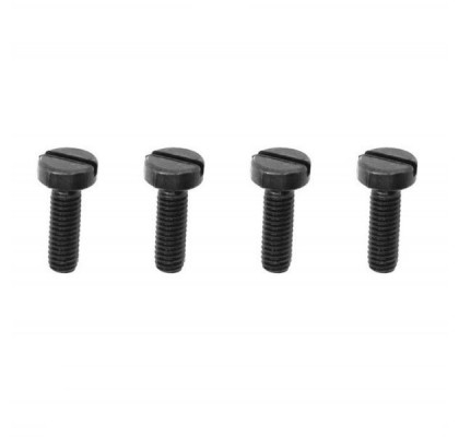 .21/.28 Backplate Cover Screws