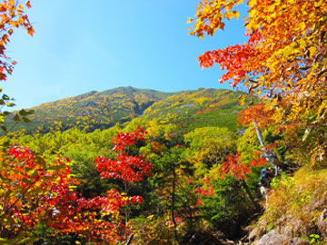 山の天気