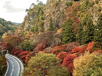 国民宿舎「古岩屋荘」・岩屋寺周辺