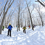 HAKUBA VALLEY 白馬岩岳スノーフィールド