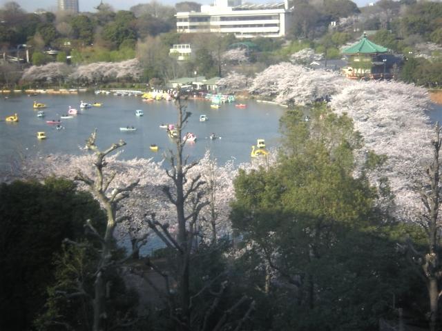 画像: 加門成昭税理士事務所(東京都練馬区栄町２６番４号)