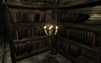 Unlimited Bookshelves