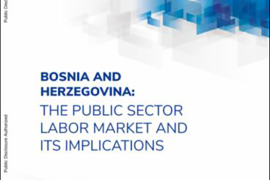 Bosnia and Herzegovina: The Public Sector Labor Market and Its Implications