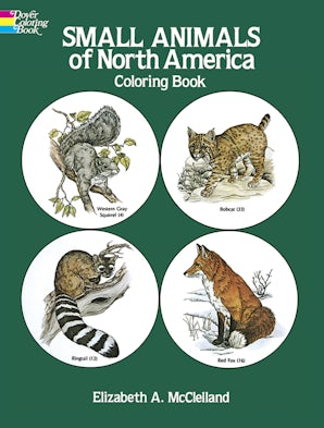 Small Animals of North America Coloring Book