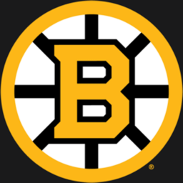r/BostonBruins icon