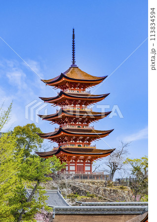 広島 嚴島神社　五重塔（御本社側から） 113834594