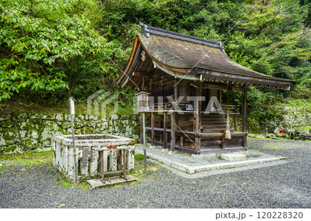 坂本　日吉大社　東本宮　亀井霊水と新物忌神社　滋賀県大津市 120228320