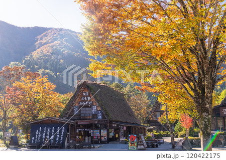 《岐阜県》秋の白川郷・紅葉の合掌造り集落 120422175