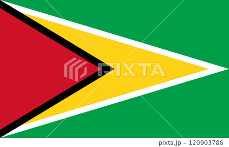 ガイアナ協同共和国の国旗 ガイアナ協同共和国の国旗 120903786