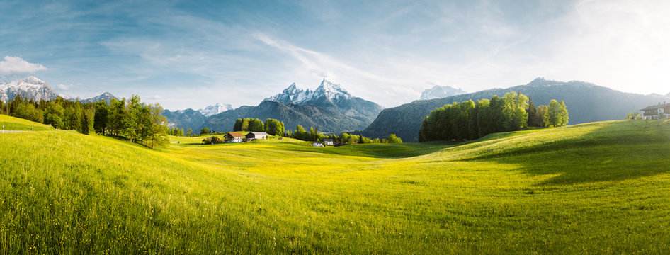 Idyllic mountain landscape in the Alps with blooming meadows in springtime