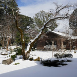 Ikarashi Tei Garden - 雪の庭園