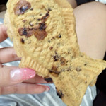 Taiyaki Matsukawa - 