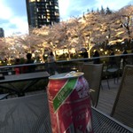 Precce PREMIUM Tokyo Midtown Ten - ビール ライトアップが始まりました