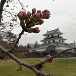 Shiroishi Jo Rekishi Tanbo Museum - 