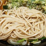 Nadai Fuji Soba Sasazuka Ten - そばはこんな感じ