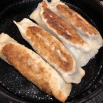 Shoryu Gyoza Bo - 