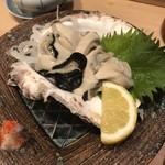 Sakae Zushi - 