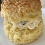 merci scone - 