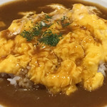 Curry House CoCo Ichibanya Ichinomiya Asano Ten - 