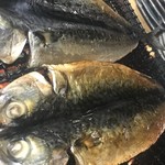 うまいもん酒場 魚鶏 - 